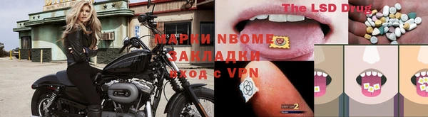 мяу мяу мука Иннополис