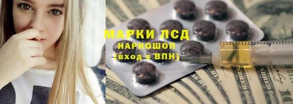 мяу мяу мука Иннополис