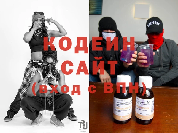 мяу мяу мука Иннополис