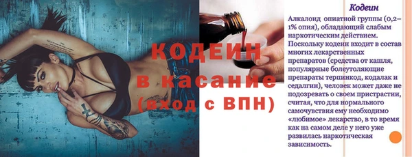 мяу мяу мука Иннополис