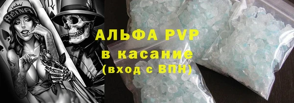 мяу мяу мука Иннополис