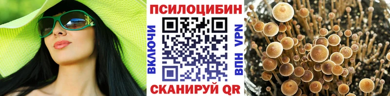 shop официальный сайт  Кольчугино  Псилоцибиновые грибы ЛСД 