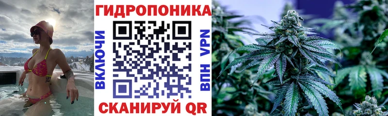 Бошки Шишки марихуана Кольчугино