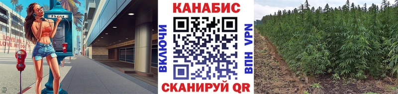 Шишки марихуана гибрид  закладки  Кольчугино 